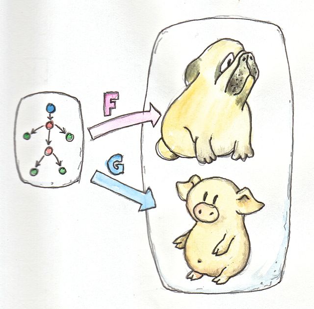 Functors