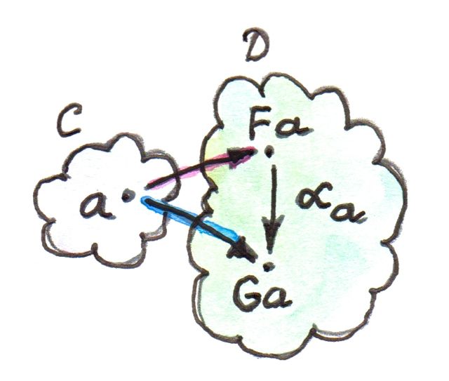 Natural component