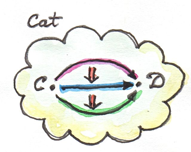 2-Category